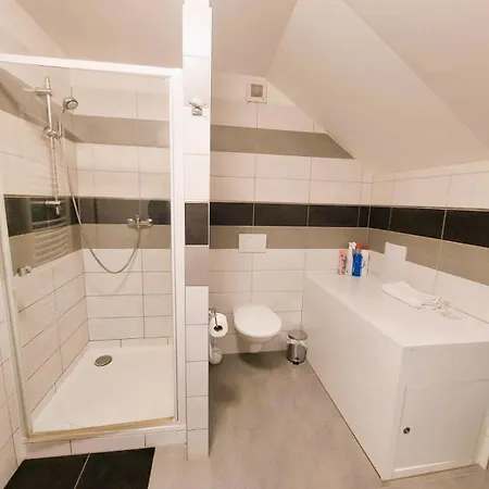 Spacious Historic Attic Loft In Center 62 M 公寓