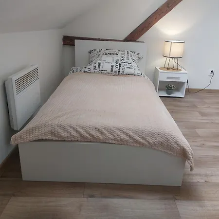 Spacious Historic Attic Loft In Center 62 M *