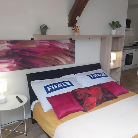 Lägenhet Spacious Historic Attic Loft In Center 62 M Hradec Králové
