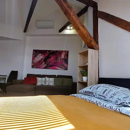 Spacious Historic Attic Loft In Center 62 M Appartement