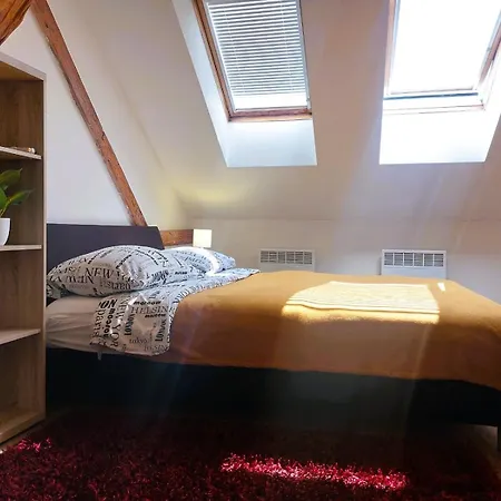 Spacious Historic Attic Loft In Center 62 M