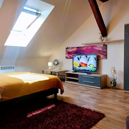 Spacious Historic Attic Loft In Center 62 M Appartement *