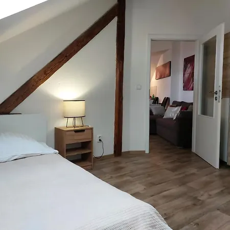 Spacious Historic Attic Loft In Center 62 M *