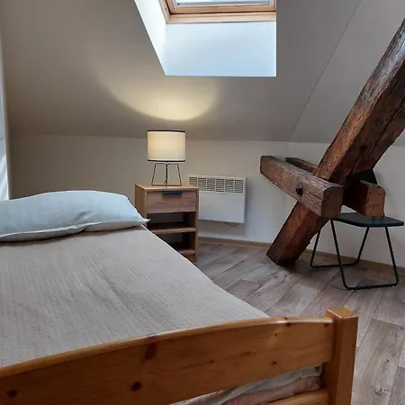 Spacious Historic Attic Loft In Center 62 M *