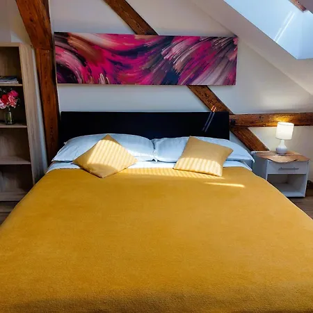 Spacious Historic Attic Loft In Center 62 M Hradec Králové