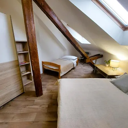 Spacious Historic Attic Loft In Center 62 M Hradec Králové