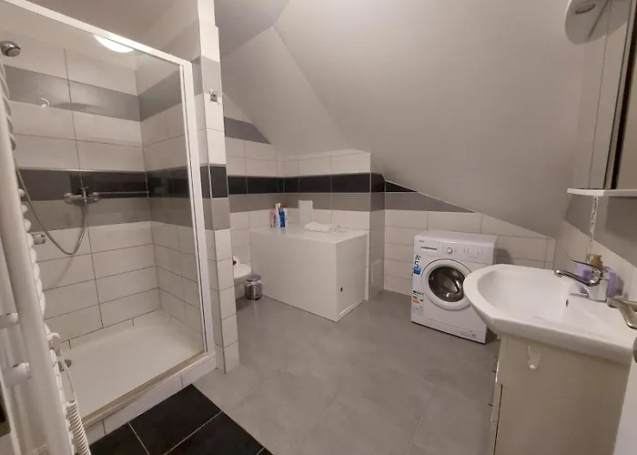 Spacious Historic Attic Loft In Center 62 M