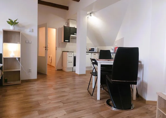 Spacious Historic Attic Loft In Center 62 M Apartamento