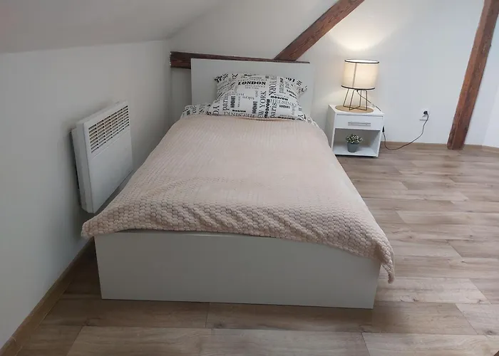Spacious Historic Attic Loft In Center 62 M *