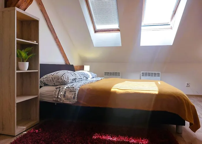 Spacious Historic Attic Loft In Center 62 M
