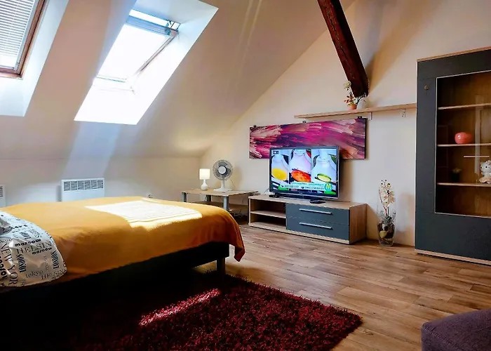 Spacious Historic Attic Loft In Center 62 M Apartamento *