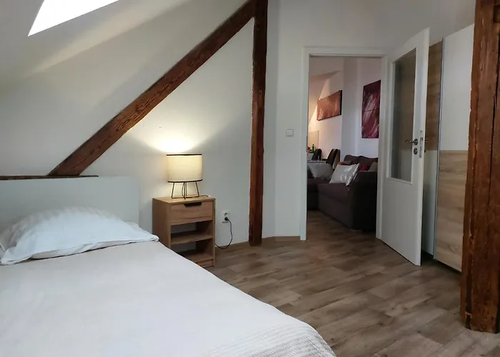 Spacious Historic Attic Loft In Center 62 M *
