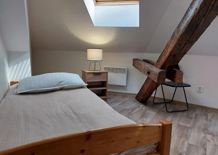 Spacious Historic Attic Loft In Center 62 M *