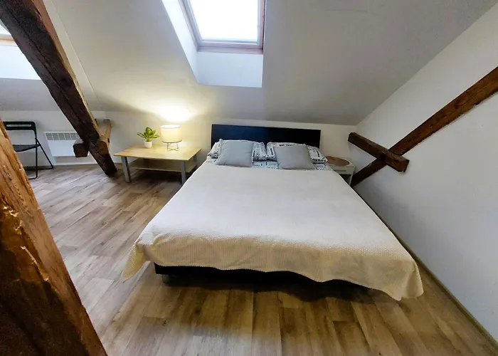 Spacious Historic Attic Loft In Center 62 M Hradec Králové
