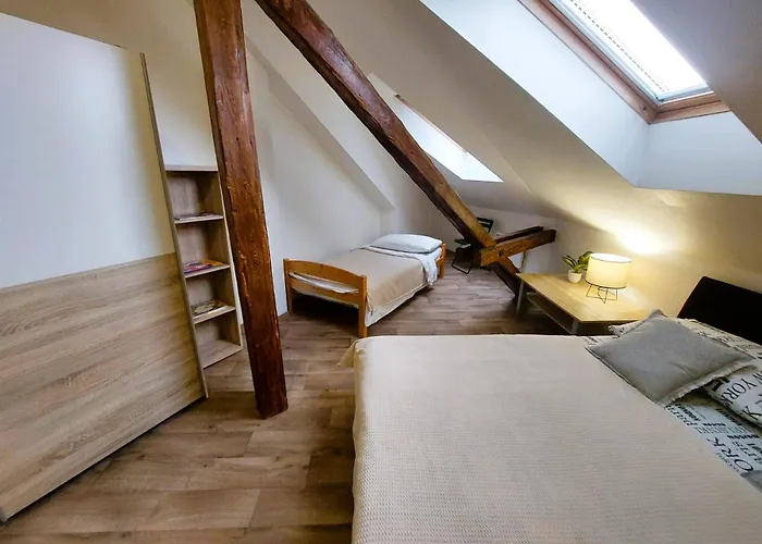 Spacious Historic Attic Loft In Center 62 M Hradec Králové