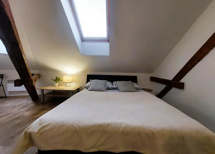 Apartamento Spacious Historic Attic Loft In Center 62 M *